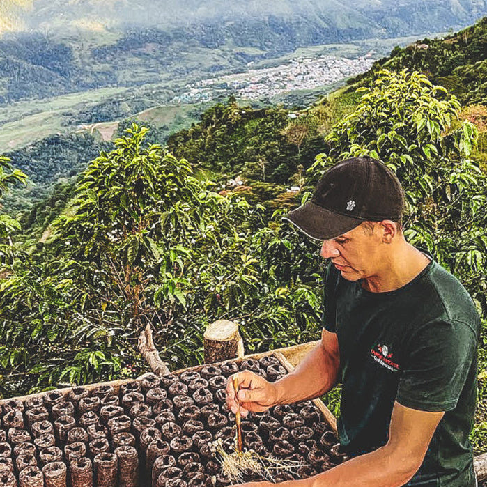 Colombia Jorge Rojas Pink Bourbon - A Smooth Pick for Coffee Lovers