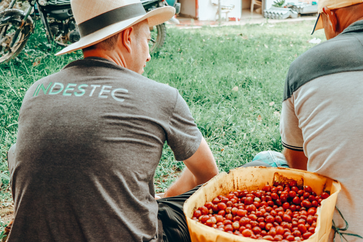 Colombia El Paraiso Cardamom Cloud - Small-Batch Flavor Worth Savoring