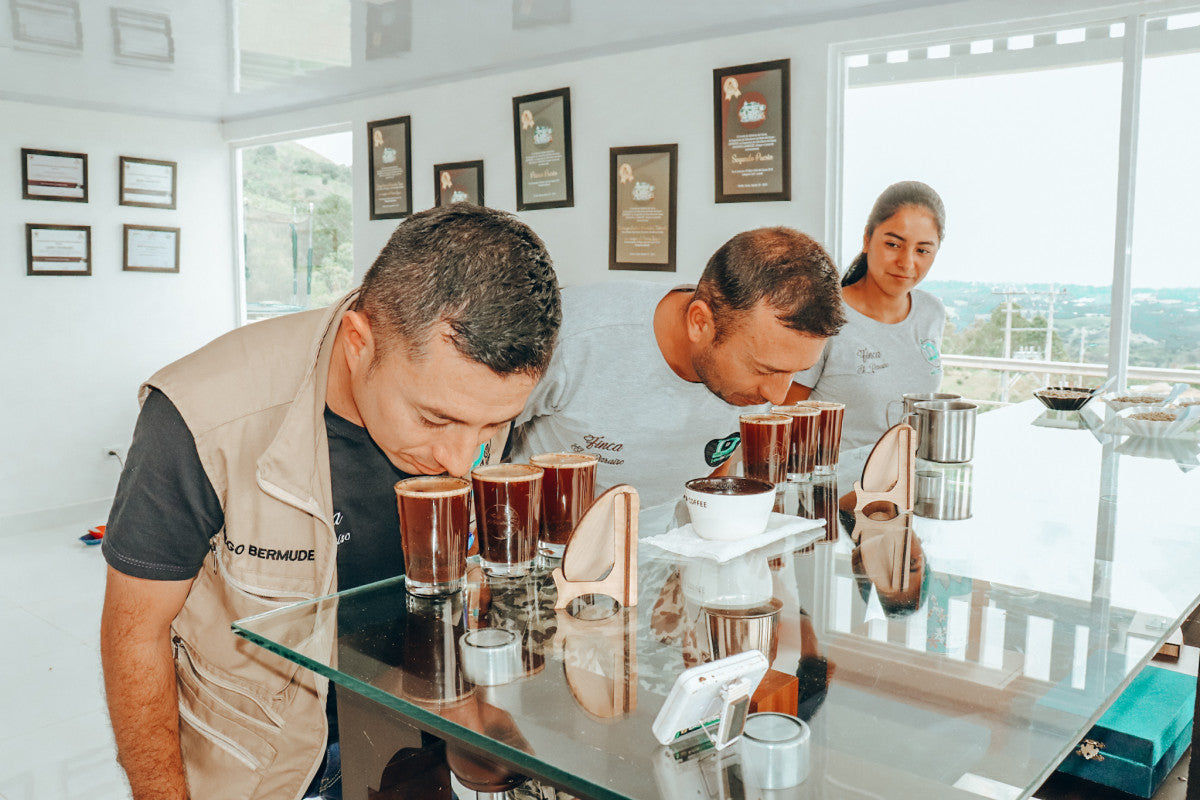 Colombia El Paraiso Cardamom Cloud - Small-Batch Flavor Worth Savoring