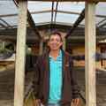 Peru Namballe - Crafted for a Brighter Brew
